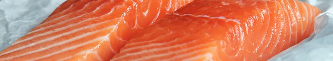 Salmon